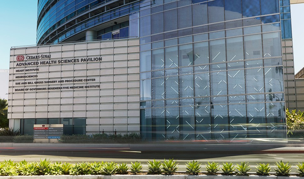 Artist Robert Irwin enjoyed the challenge the Advanced Health Sciences Pavilion’s space posed, describing it as "complicated."