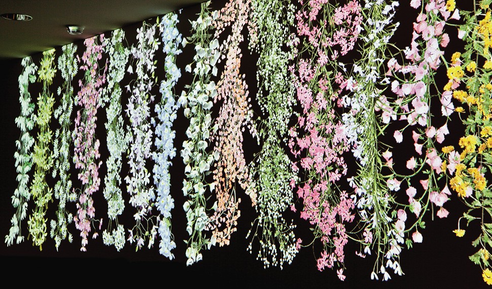 The artist chose the various flowers in the installation carefully to reflect the legacy of traditional folk remedies.