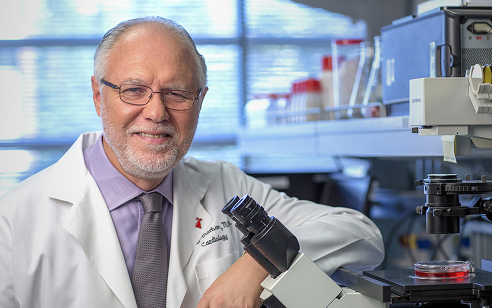 Study: Young Cell Vesicles May Rejuvenate Old Hearts