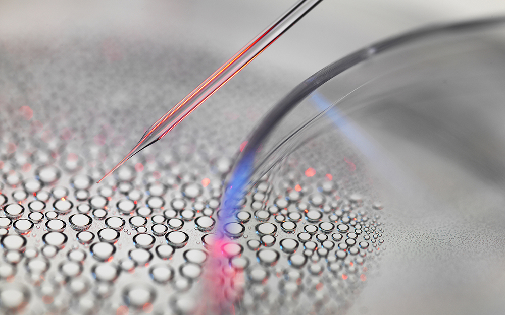 Stem cell research, nuclear transfer of embryonic stem cells from petri dish used in cloning for medical research