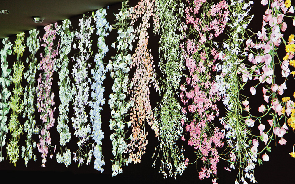 Strings of flowers attached to a wall
