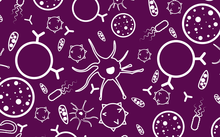 What are autoimmune diseases?