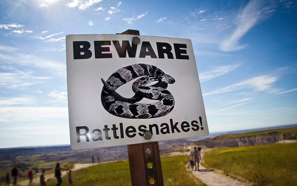 snake season, summertime, heat, los angeles, rattlesnake, hiking, hazard