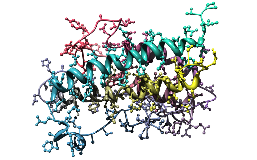 Human Growth Hormone, Somatotropin, research, Cedars-Sinai