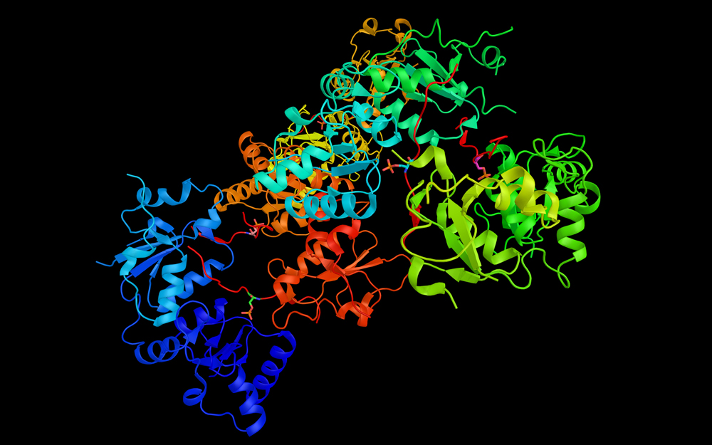 An illustration of BRCA cancer genes.