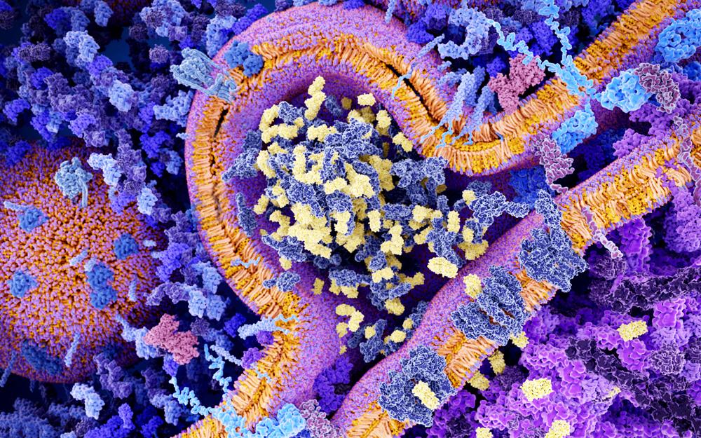 Chimeric antigen receptor (CAR) therapy illustration.