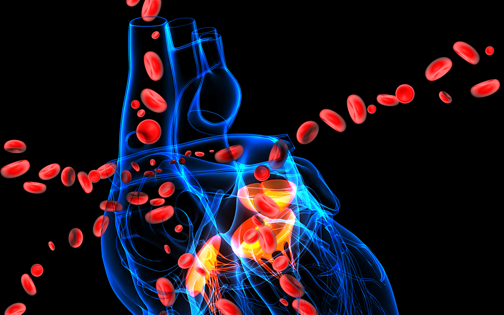 Cedars-Sinai developed the Cedars-Sinai Specialist Aortic Service to provide specialized aortic services