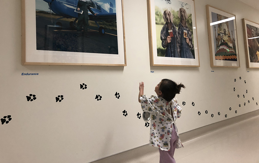 Addison MacLellan looking at the art hanging on the paw print wall.