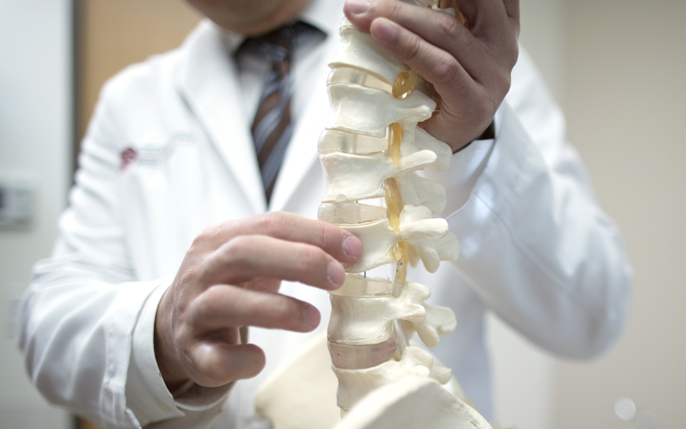 Physician demonstrating on spine.