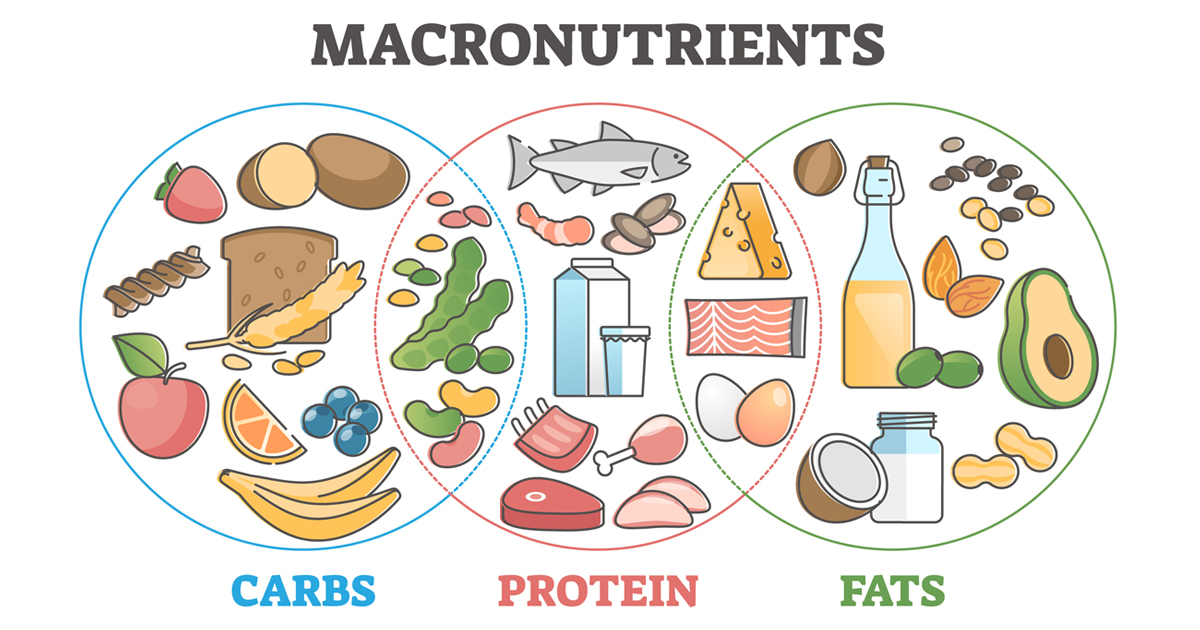 Best Macronutrient Ratio For Weight Loss: How To Calculate