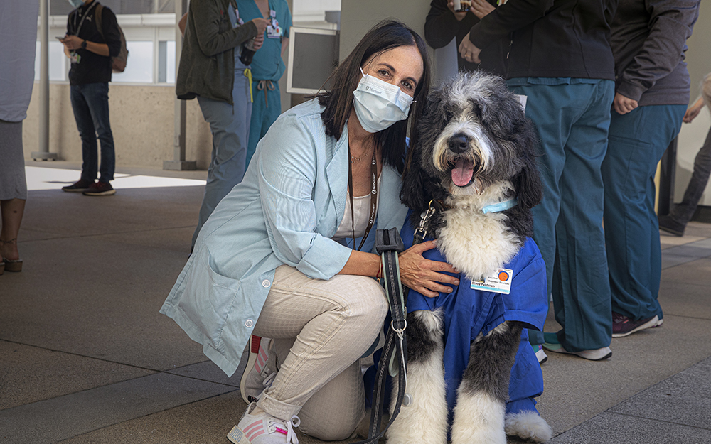 Cedars-Sinai has many volunteer opportunities, including the Barbara Cowen POOCH Volunteer Program, in which trained dogs and their owners offer comfort and support to patients, visitors and staff members.