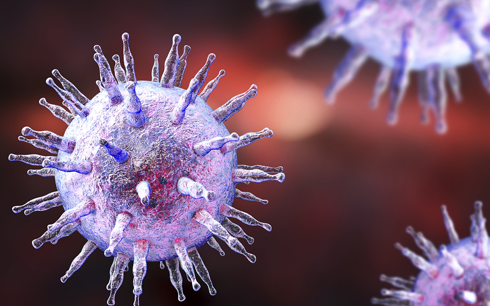 An illustration of the Epstein-Barr virus.