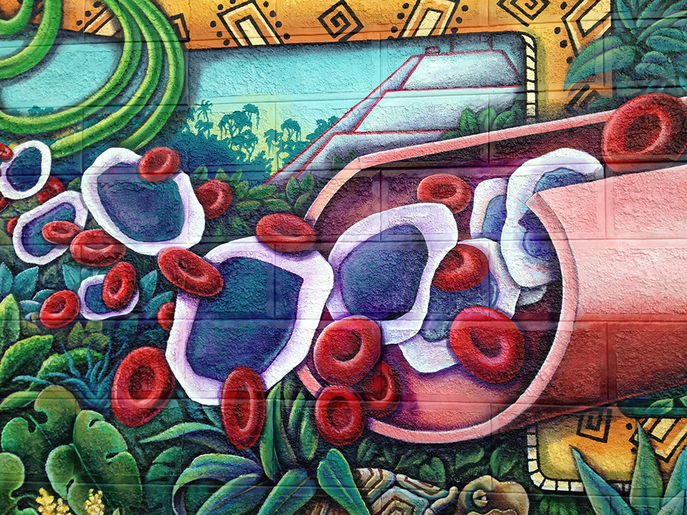 A close up of good blood in a Lincoln Heights leukemia mural depicting a Mayan shaman looking at a blood sample.