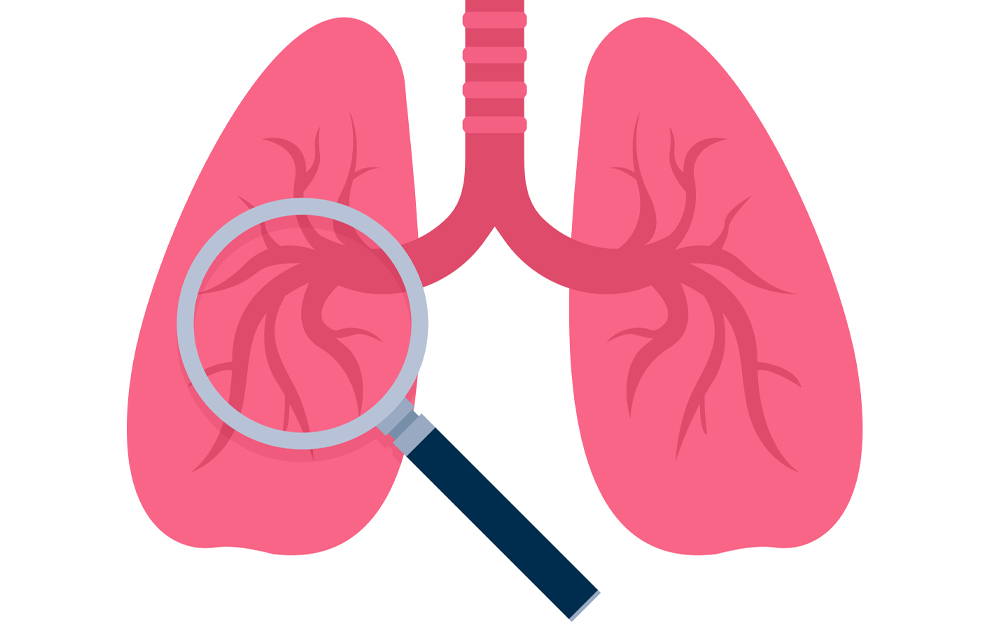 A magnifying glass on a pair of lungs