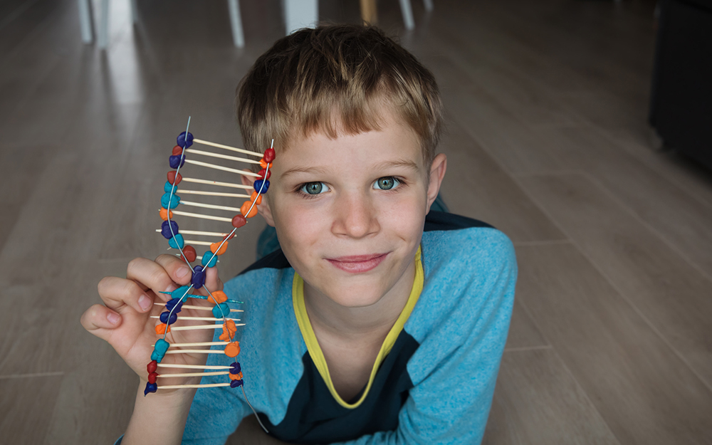 child making DNA model from sticks and clay, engineering and STEM project