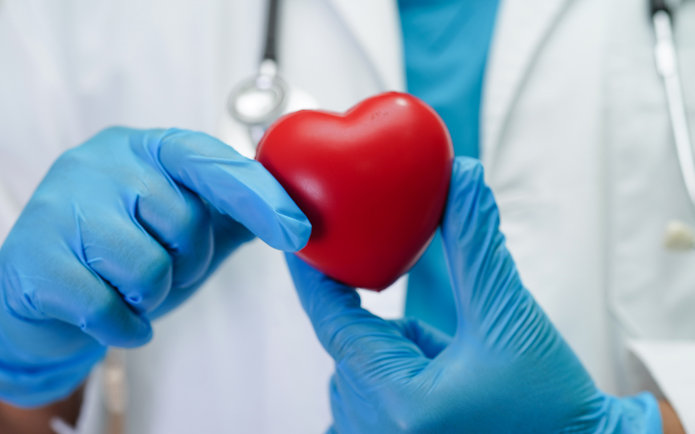 Surgeon holding red squishable heart