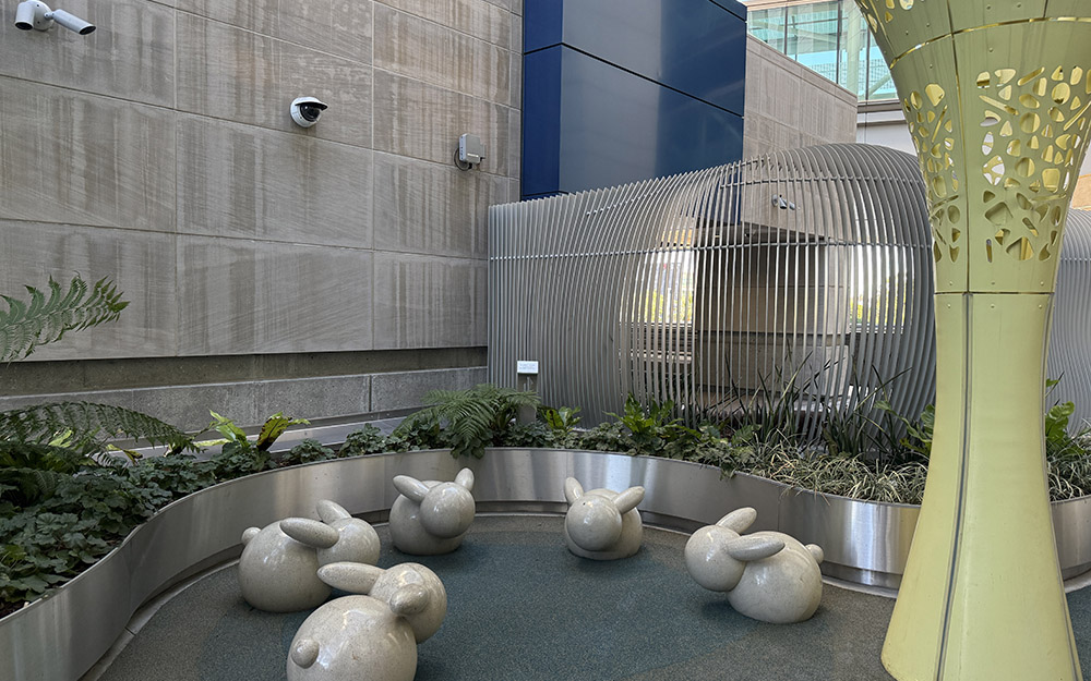 A Garden’s Gift: The Power to Help and Heal teaser image