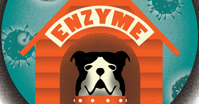 Beware of Watchdog Enzyme teaser image