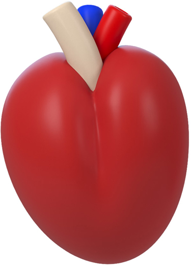 Mr. Potato's heart.