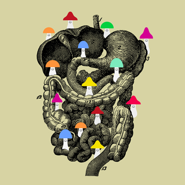 Illustration of intestinal tract with mushrooms on it by Edmon de Haro.
