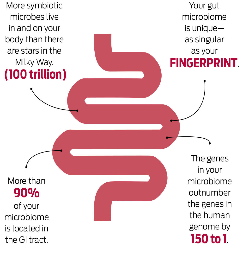 An infographic of the gut microbiome.