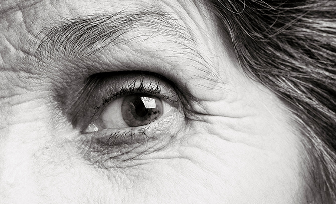 Eyes on the Brain