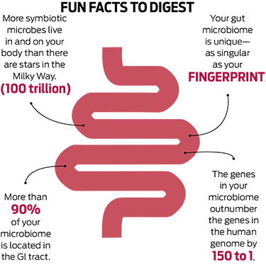 Gut infographic