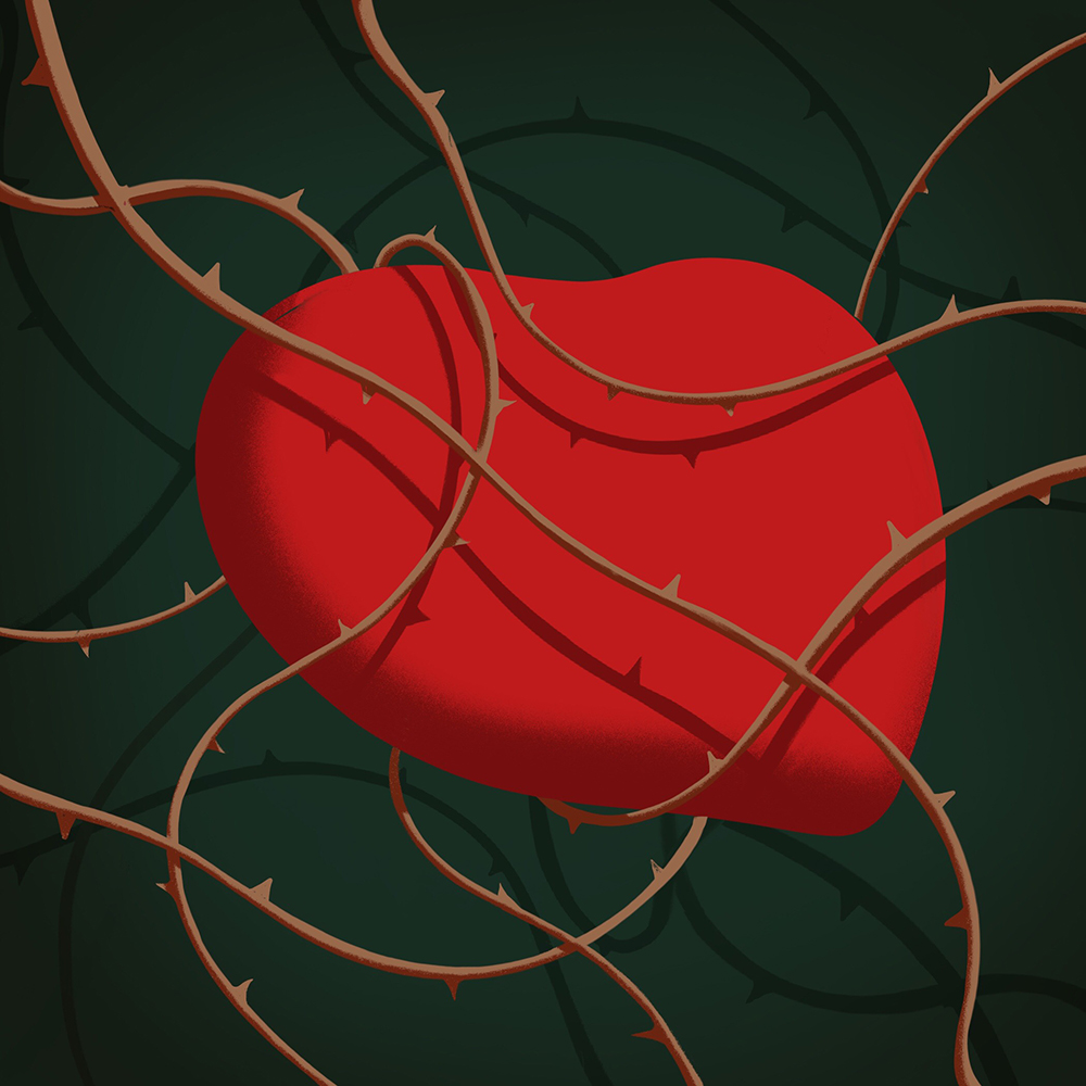 An illustration by Carlo Giambarrresi of a heart surrounded by barbed wire depicting broken heart syndrome.