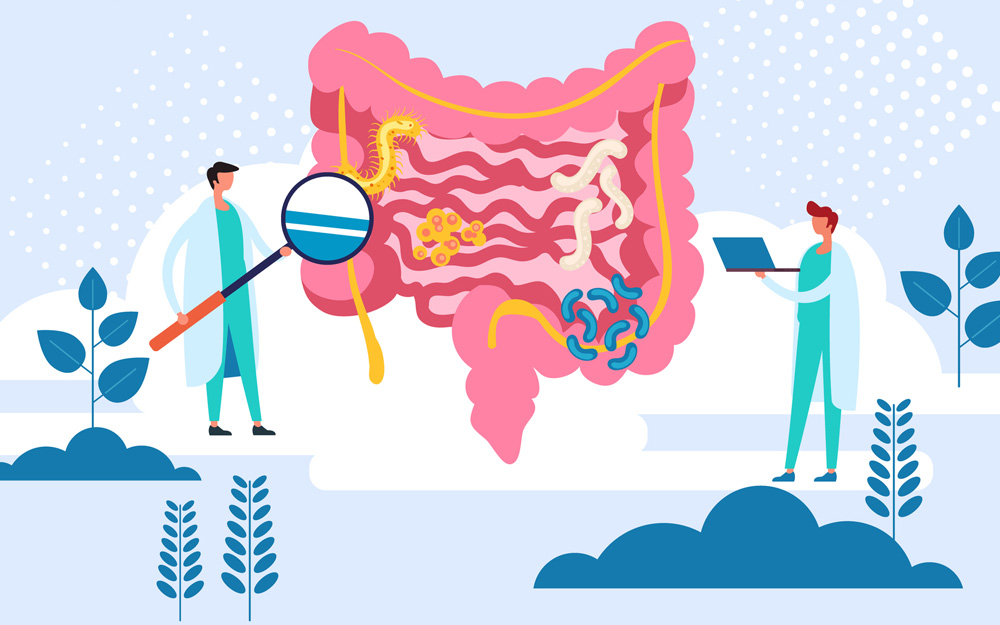 "Creeping Fat" in Crohn's Patients Linked to Bacteria teaser image