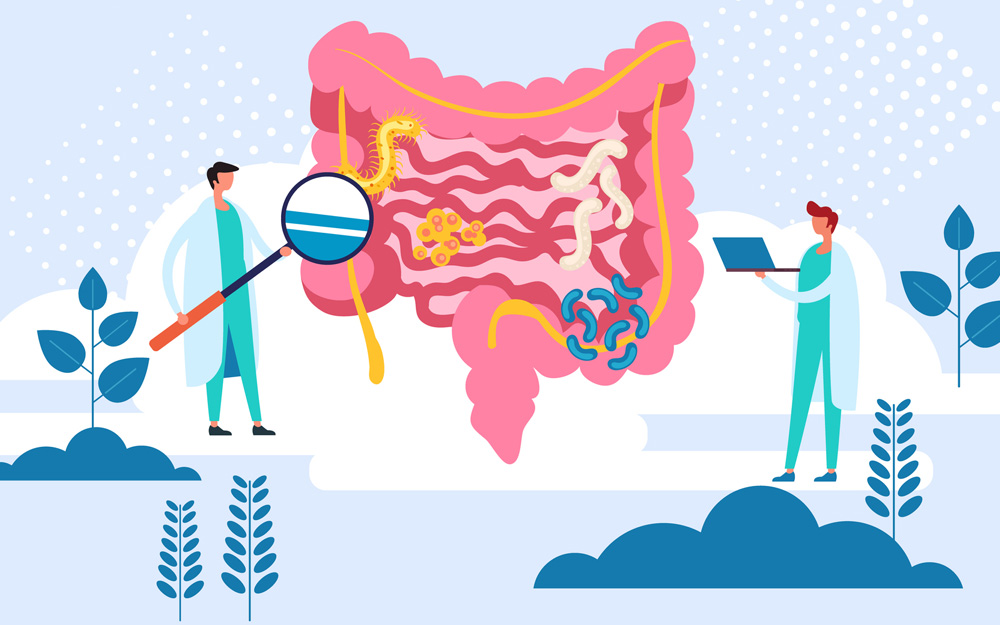 Illustration of two doctors looking at an intestinal tract.