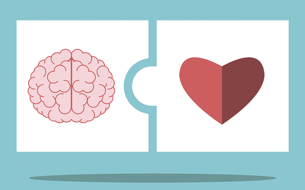 Connection between heart and brain