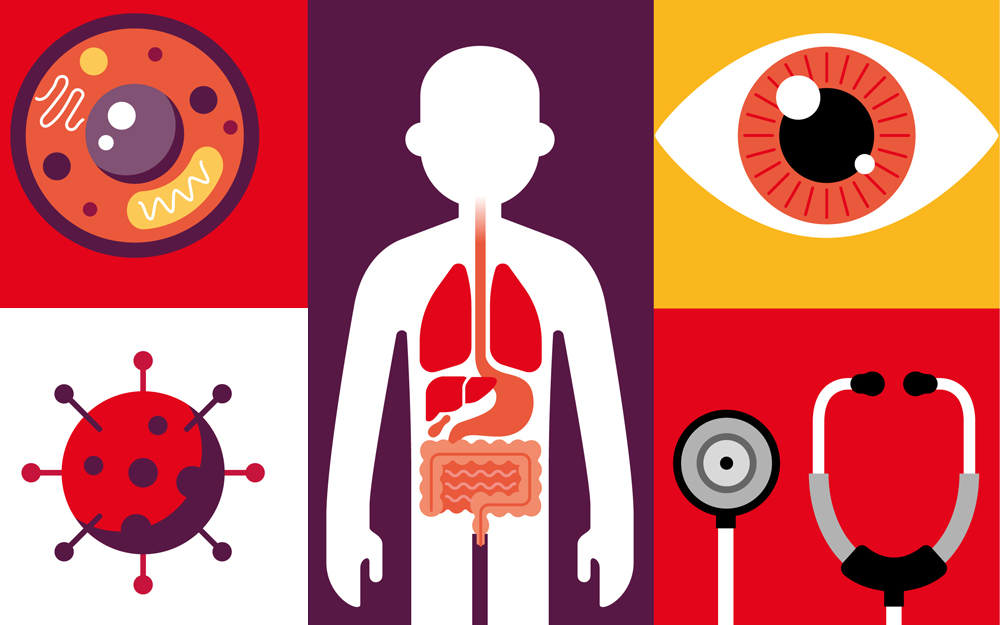 An illustration showing the various interactions of COVID-19 vaccines and IBD.