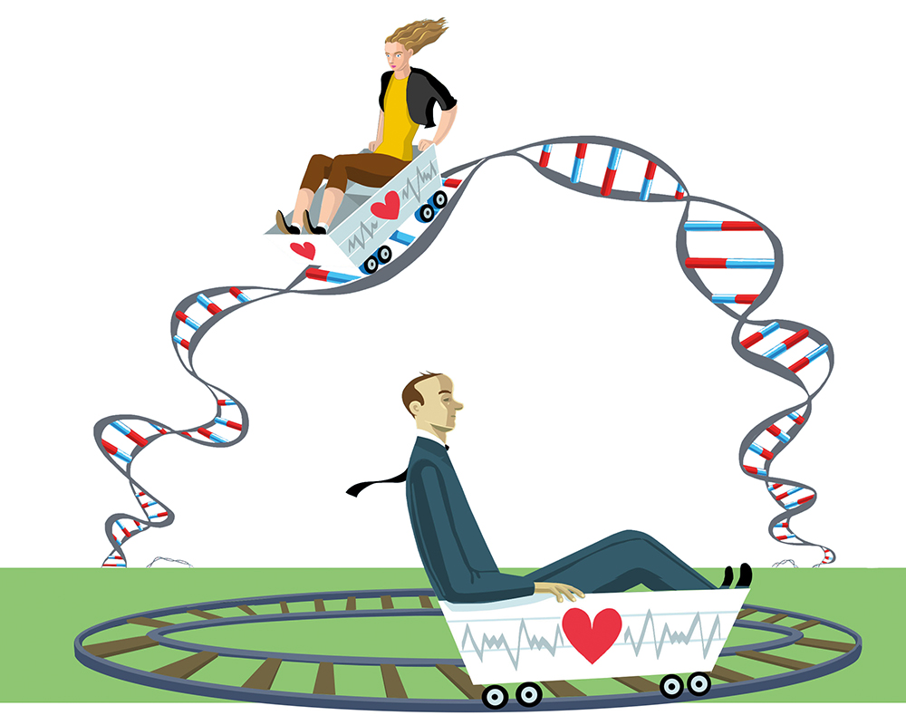 An illustration by Alison Seiffer depicting the genetic roller coaster women's heart health rides.