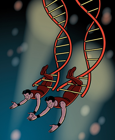 Two trapeze artists swinging on a DNA strand