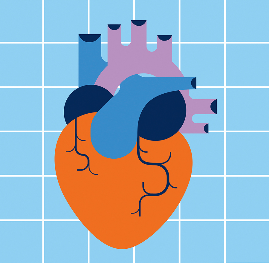 A flat 2-dimensional illustration of a heart.
