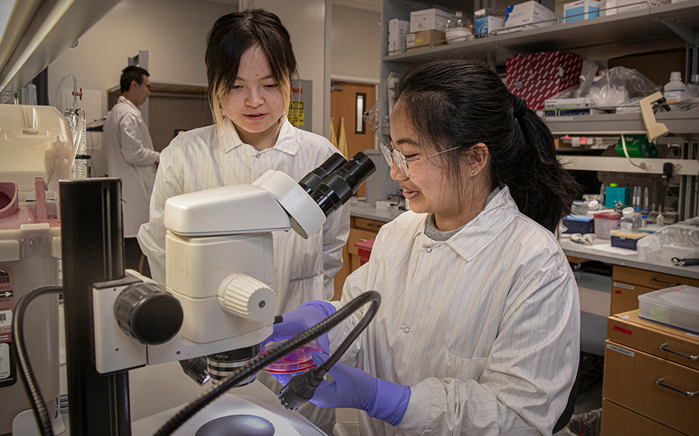 Jiyai Yu (left) and Yiling Shen in a lab