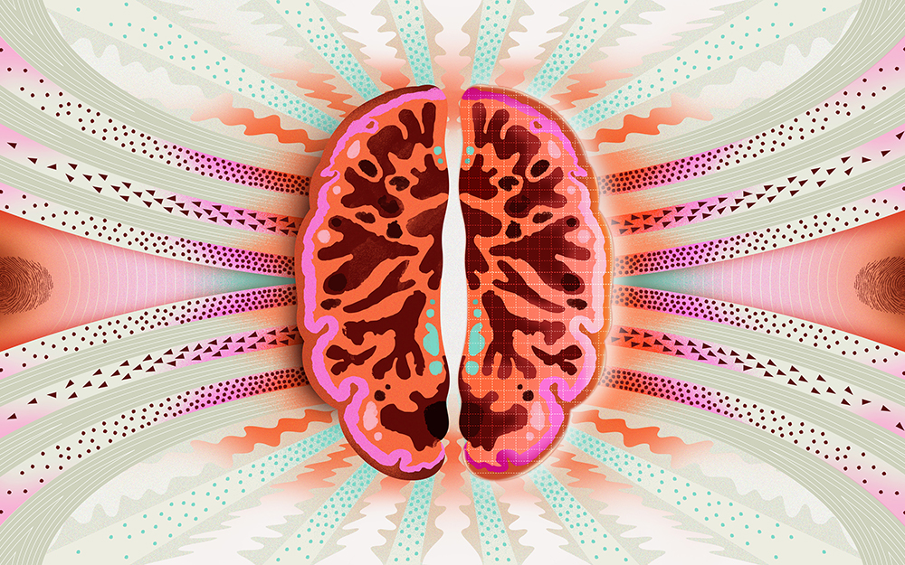 How Virtual Brain Tumors Are Transforming Cancer Care teaser image