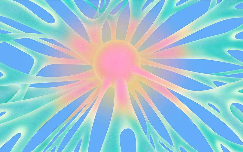 Illustration of an organoid core.