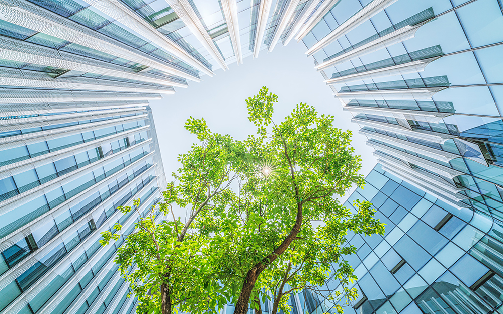 Building with trees