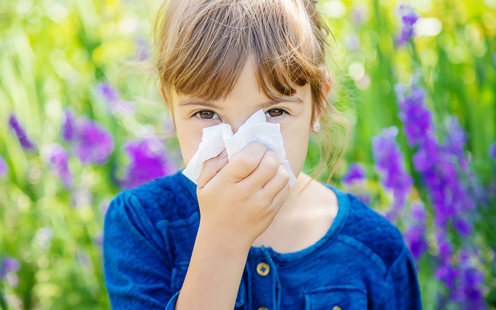 Little girl with a tissue in a field of flowers