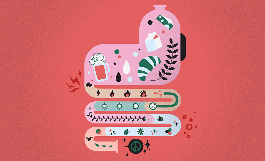 Stomach and intestines illustration.