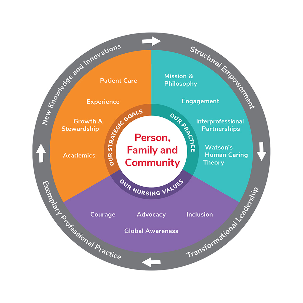 Nursing Professional Practice Model