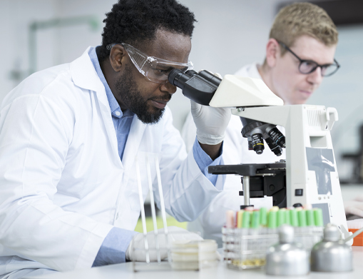 A researcher using a microscope