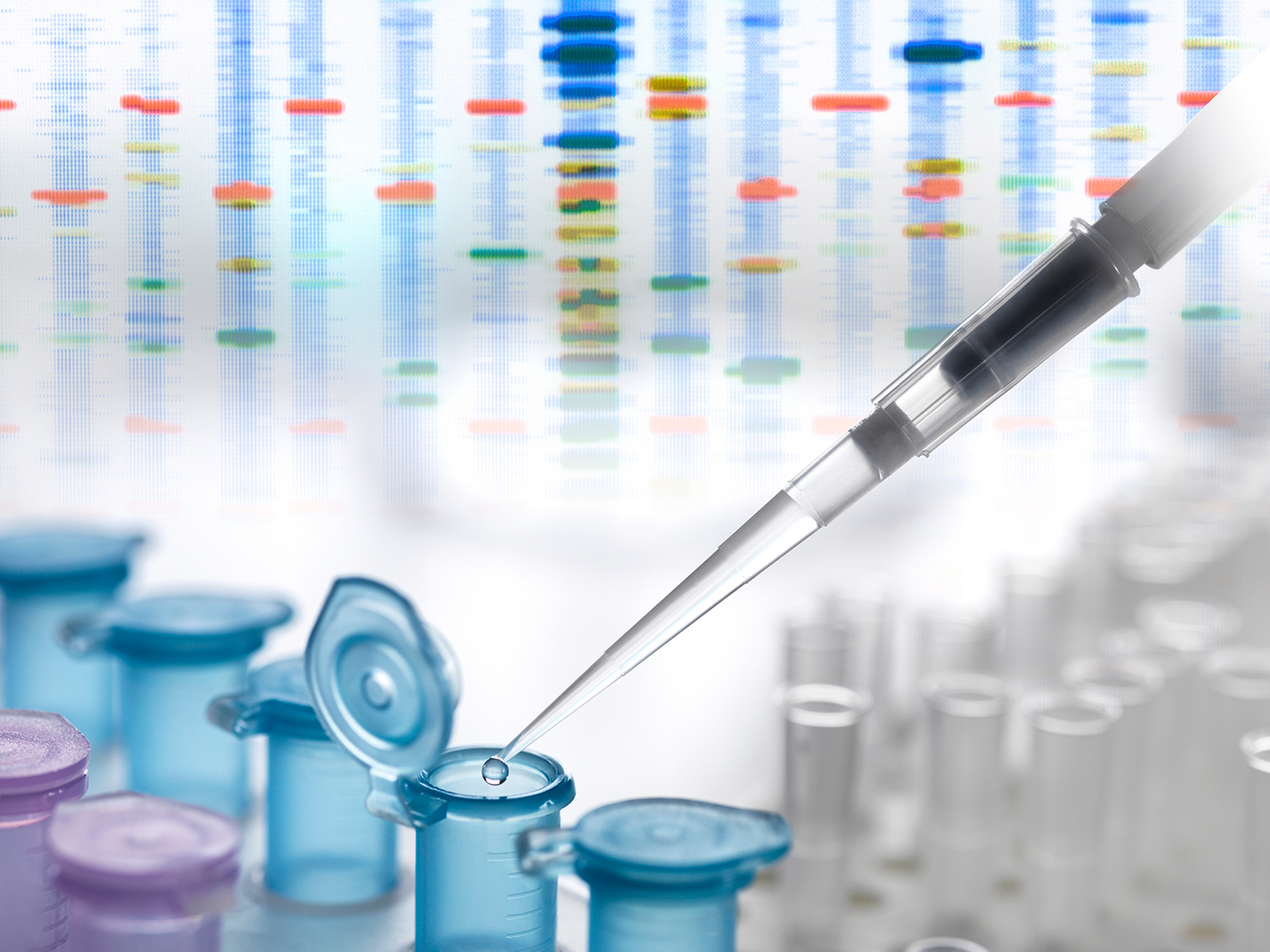 Pipette and test tubes