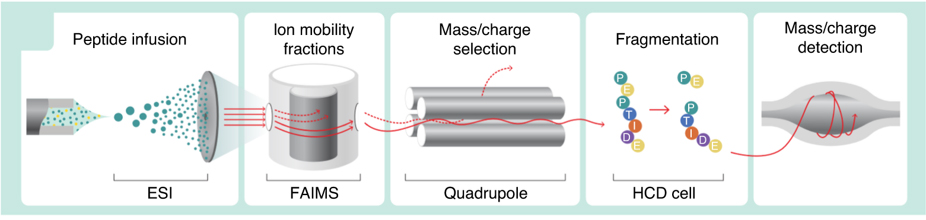 Direct Infusion Shotgun Proteome Analysis