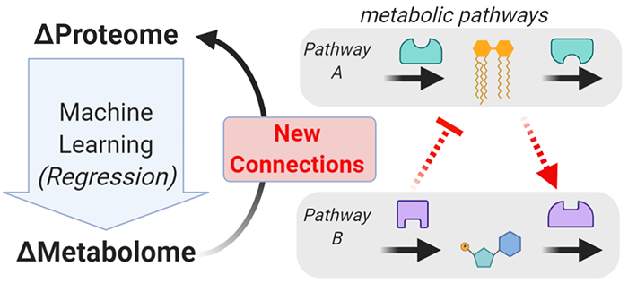 Multiple layers of omics data