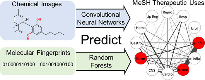 Convolutional neural networks