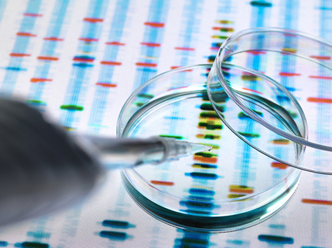 Weighing Precision Medicine's Promise, Pitfalls.